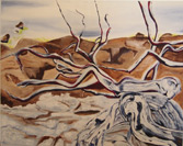 Click to enlarge coffin bay
