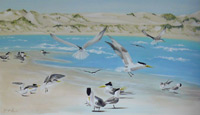 Click to enlarge gunya series