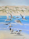 Click to enlarge gunya series