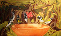 Click to enlarge honey-eaters
